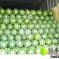 清苑西瓜假一赔十,南店马松诚信合作