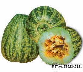2015年陕西蒲城陕甜价格