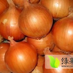 金乡马集申经理6月黄皮洋葱