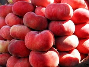 陕西蒲城蟠桃蜜桃价格适宜