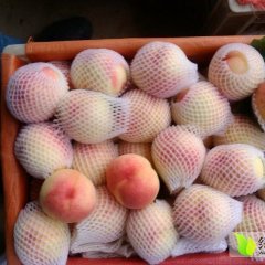 大荔范家白康5月早美毛桃蜜桃