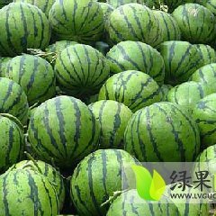 滨州惠民西瓜代办