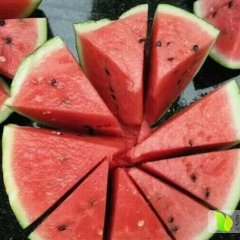 蒲城西瓜，京欣，甜王，黑无籽