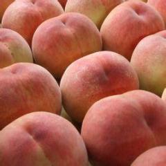 富川蜜桃逐渐升温,新华林豪诚信合作