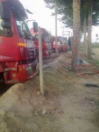 保定市、清苑县、清凉城村、香栗南瓜、大量上