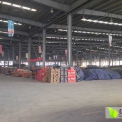 东昌府亚太王飞1月荷兰十五土豆