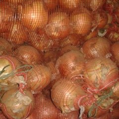 山东安丘黄皮洋葱欢迎合作