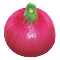 杞县沙沃李强6月红皮洋葱