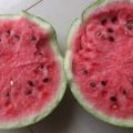 2015连云西瓜抓住商机无限