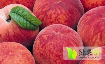 宜城蜜桃香甜可口板桥陈信诚信合作