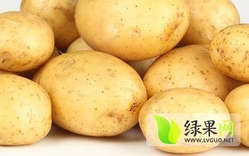 2017.安丘荷兰十五土豆