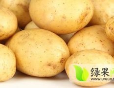 2017.安丘荷兰十五土豆