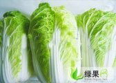 辽宁省黑山县反季节陆地白菜已经上市了