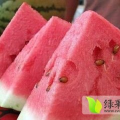 蒲城供应：京欣、黒无籽、甜王等！