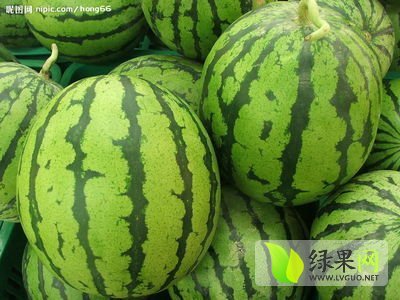 京欣价格
