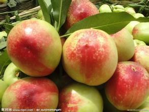 大荔县城朱良喜5月油桃518蜜桃