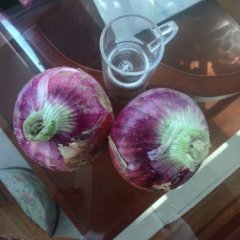 红皮洋葱已经开始大量出库，需要的客户电话联系