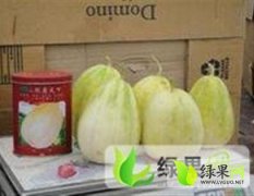 2015凌海甜瓜价格波动不大