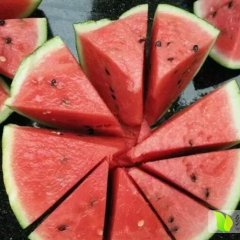 2015蒲城西瓜今年价格有看点