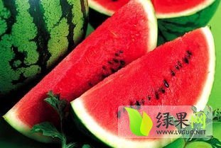 2015年江苏东台8424西瓜价格