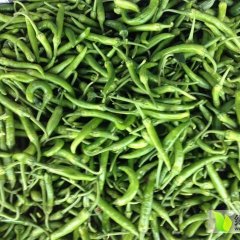 2015余杭辣椒抓住商机无限