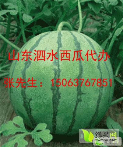 京欣价格