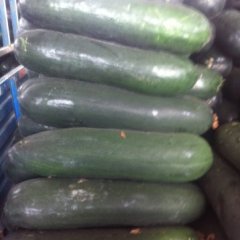 清苑冬瓜著名品牌清凉王僧林诚信合作