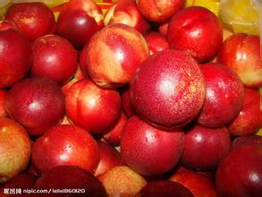 大荔油桃长势旺盛诚信合作