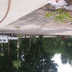 山东安丘荷兰十五土豆名优产品