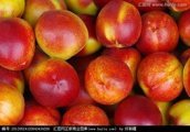 费县常年供应四季瓜果蔬菜：瓜果、油桃