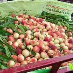 湖北枣阳黄金桃大红桃 产地直销，价格便宜