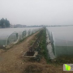 海盐西瓜著名品牌,百步尤思海诚信合作