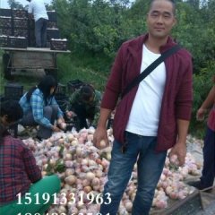 2016大荔蜜桃再不来就没机会了！