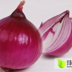 安丘兴安韩先生5月黄皮洋葱即将上市