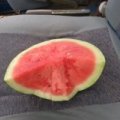 花皮无籽 西瓜