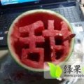 2015大荔西瓜收购工作全面开展