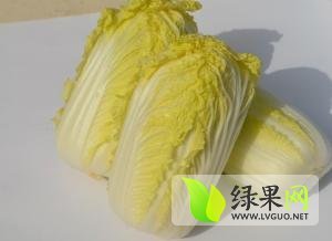 固安娃娃菜名优产品东湾朱雪军诚信合作