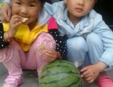 安徽固镇8424西瓜名优产品