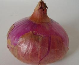 2015太谷洋葱俏销大江南北