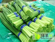 金乡蔡建国长期供应优质蒜苔 保证质量