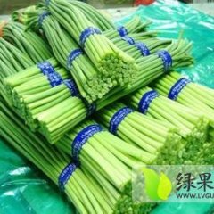 金乡蔡建国长期供应优质蒜苔 保证质量