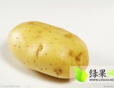 2015肥城土豆俏销大江南北