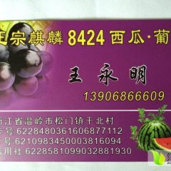 温岭箬横王永明5月特小凤西瓜