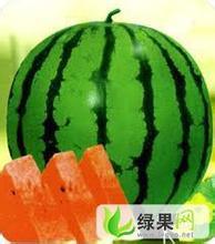 地雷瓜价格