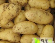 平邑荷兰土豆大量上市(0.8-0.9/斤)