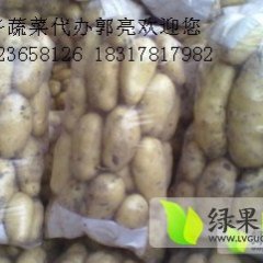 供应；荷兰十五、希森，货源足，