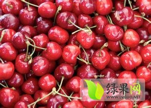 砀山权基高康5月红灯樱桃