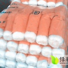 河北定州大白菜绿色无公害诚信合作
