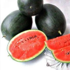 陕西蒲城黑皮无籽是名优特产罗俊武