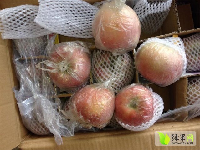 2015年陕西大荔红富士价格